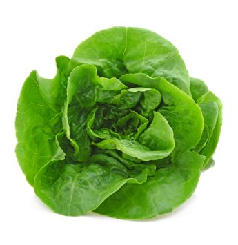 Crisp Garden Cabbage1