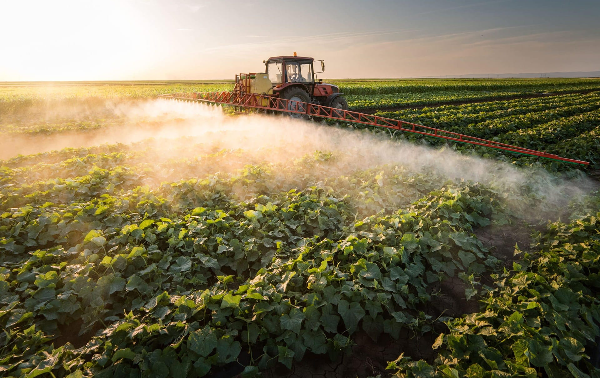 Harvesting Natural Success