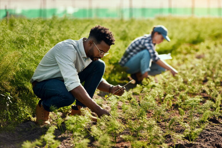 Planting Seeds of Progress