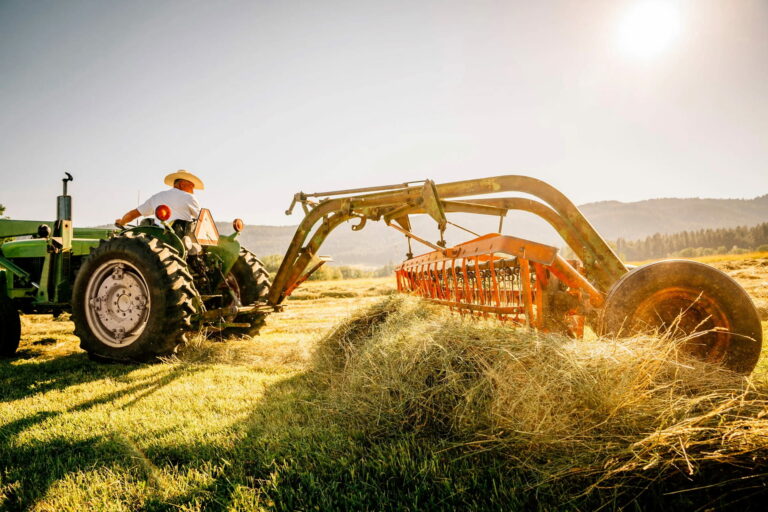 From Soil to Sustainability