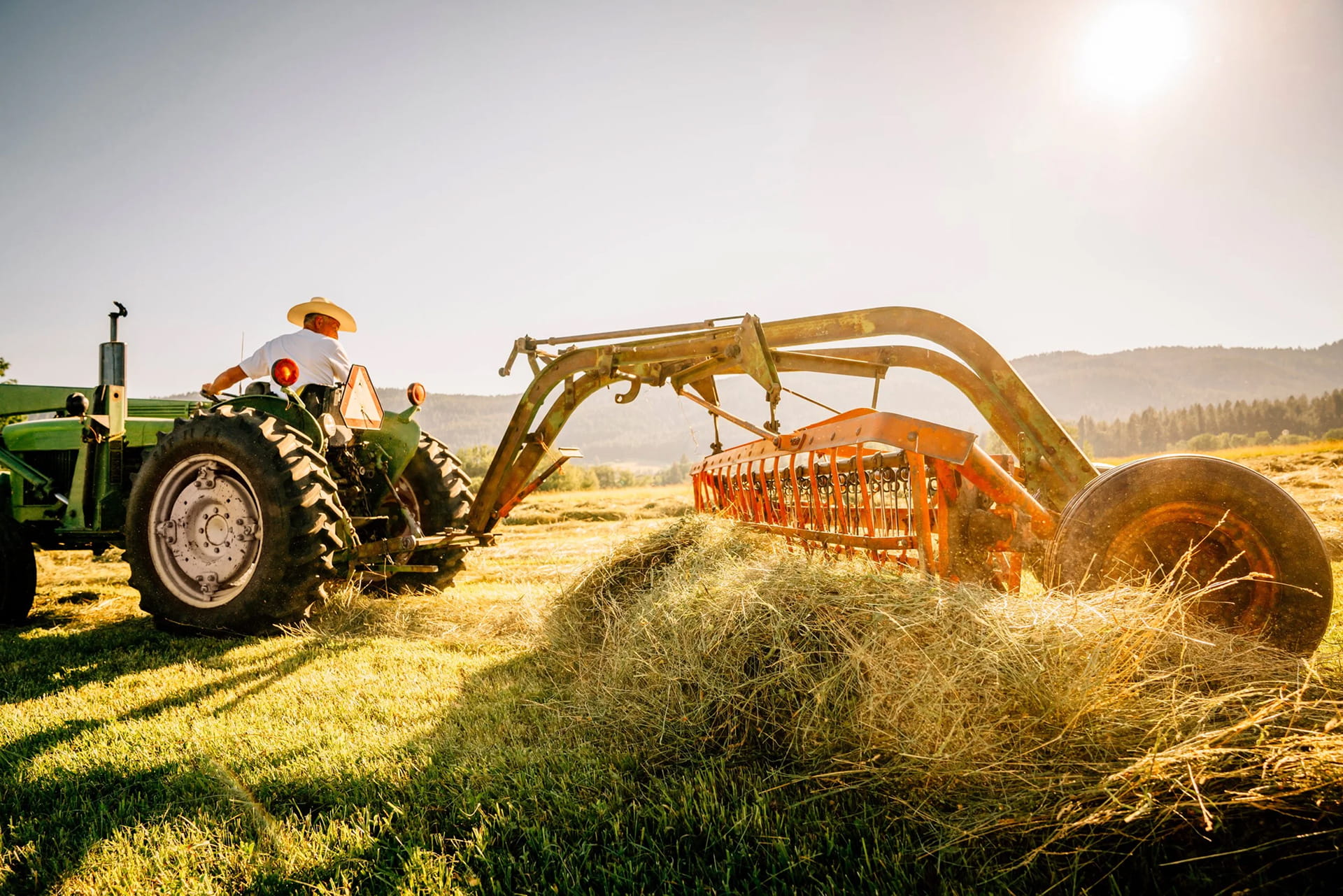 From Soil to Sustainability