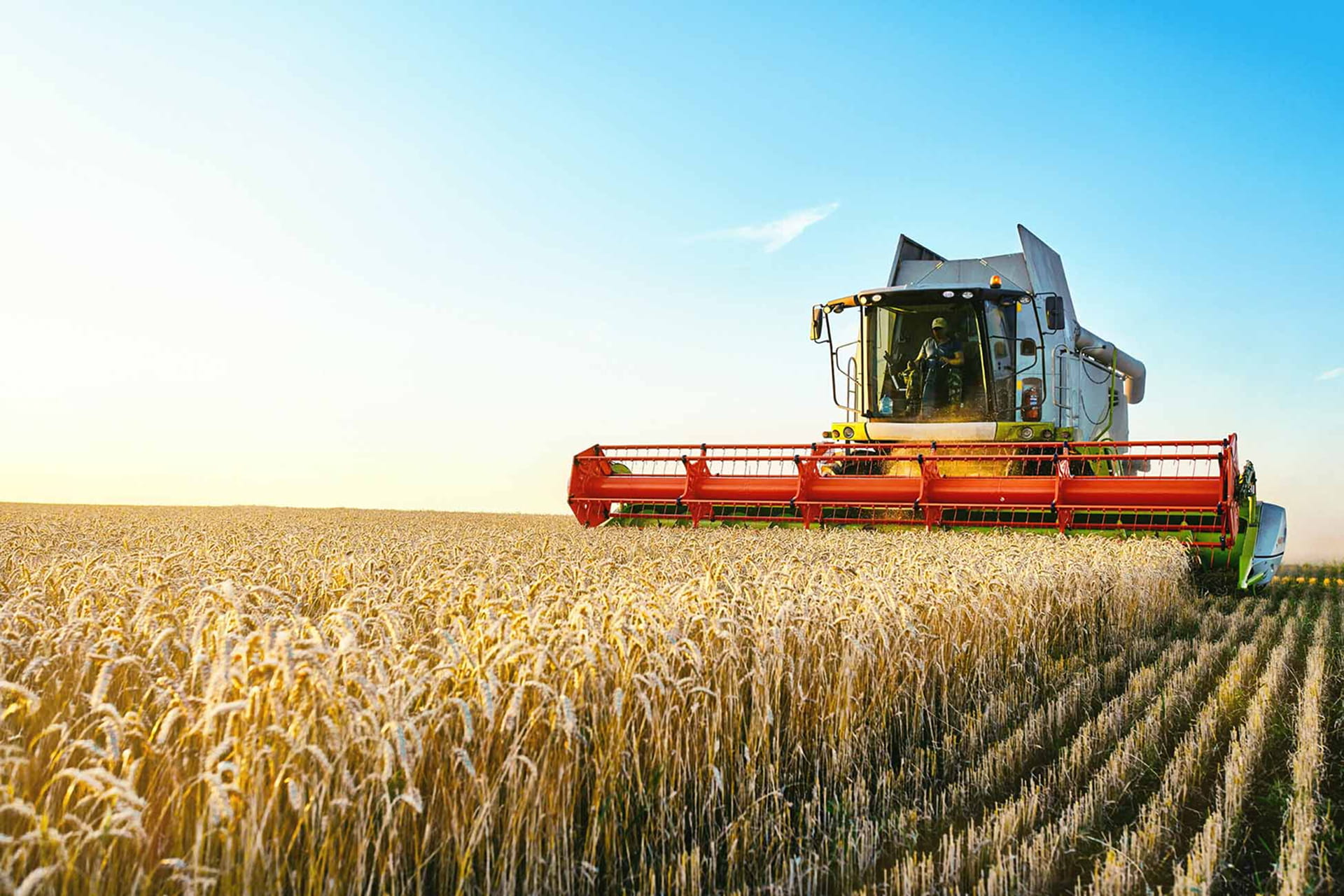 Agriculture Products